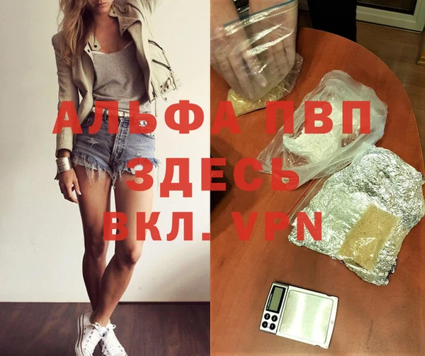 индика Верхний Тагил