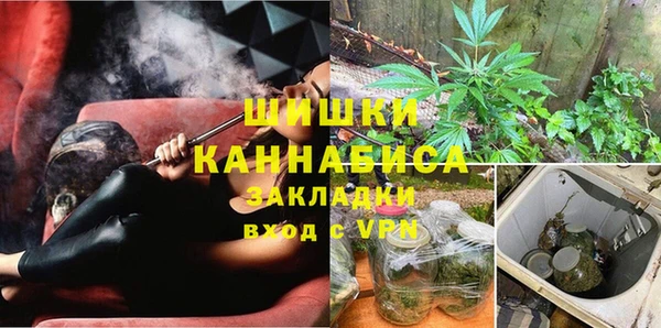 индика Верхний Тагил