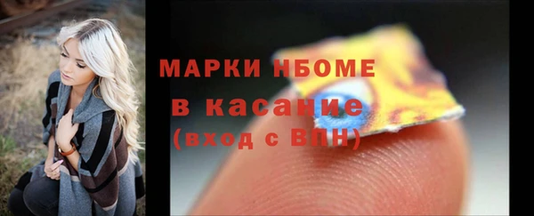 индика Верхний Тагил