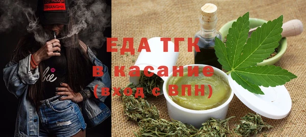 индика Верхний Тагил