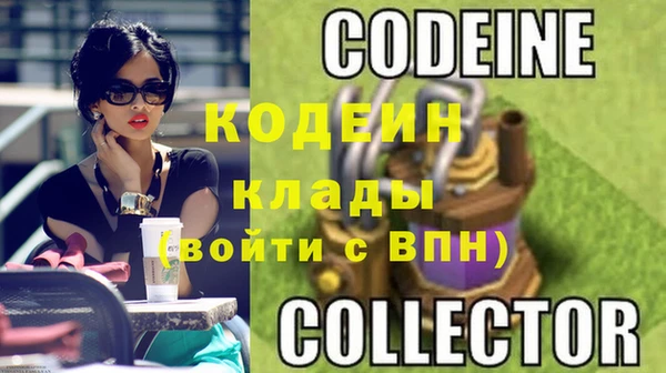 индика Верхний Тагил