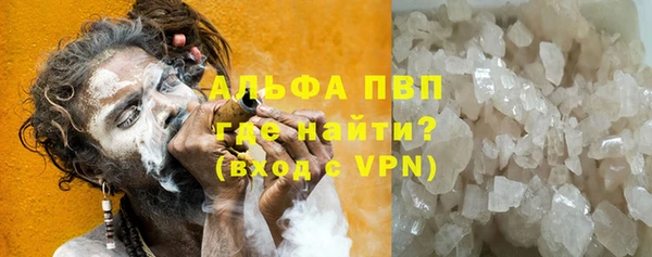 индика Верхний Тагил