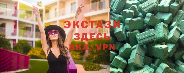 индика Верхний Тагил