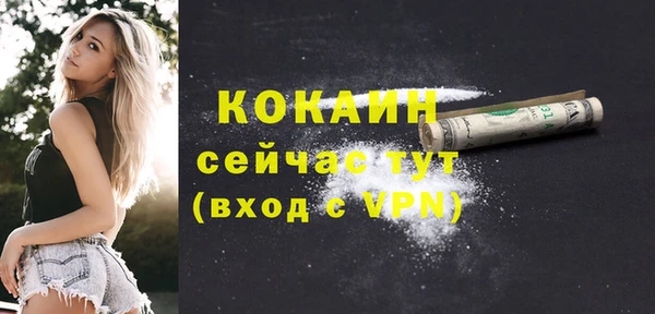 индика Верхний Тагил