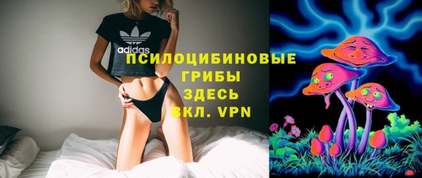 2c-b Верхнеуральск