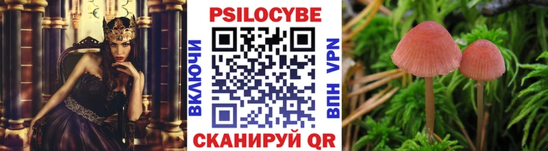 Купить закладки  Удачный  Галлюциногенные грибы Psilocybine cubensis 