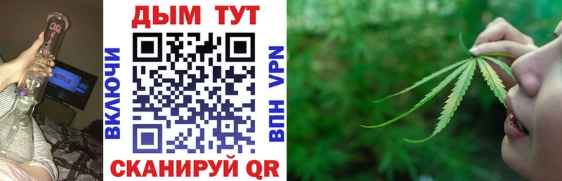 Купить где  Удачный  Конопля планчик 